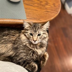 Meet your Posher, Kailey